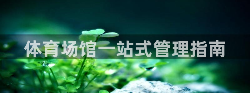必一体育没了：体育场