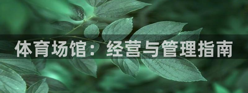 必一体育可靠吗：体育