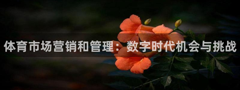 必一体育秀给网：体育