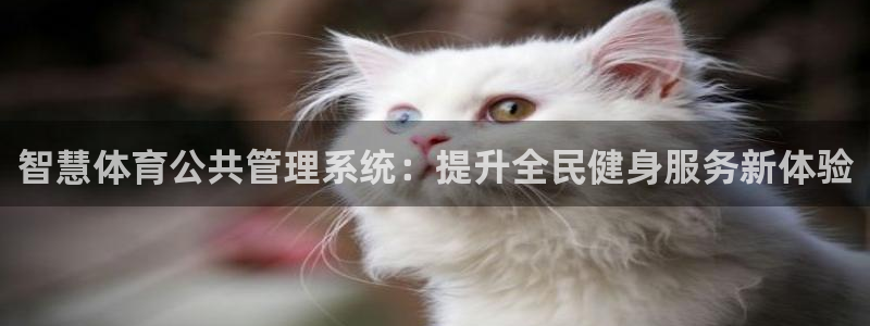 必一体育app下载最新版本苹果