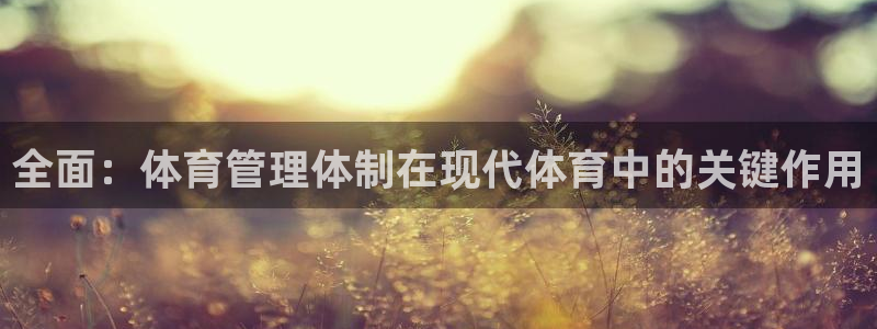 必一体育官网ios下