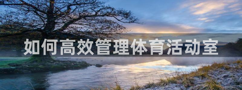 必一体育官方网站入口