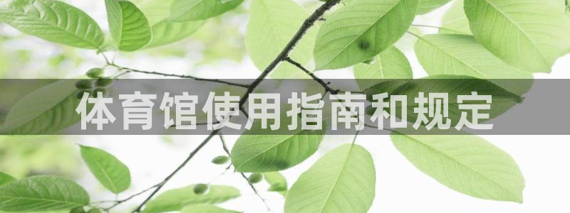 必一体育网页登陆