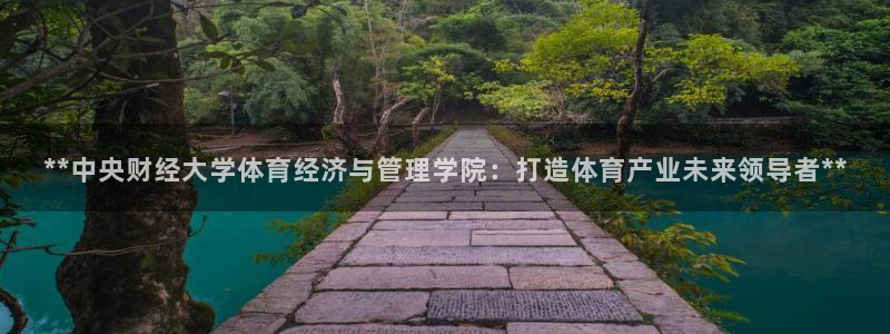 必一体育bsport