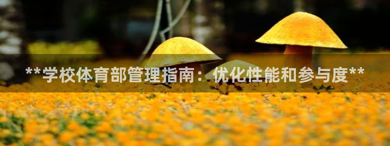 必一体育皮尔斯：**