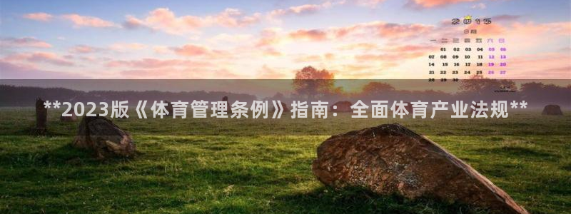 必一体育是哪里的台子