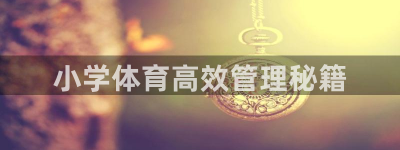 必一体育下载一样吗