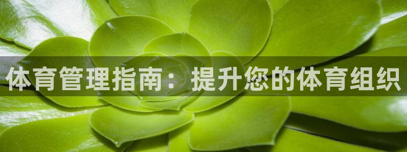 必一体育运动官网