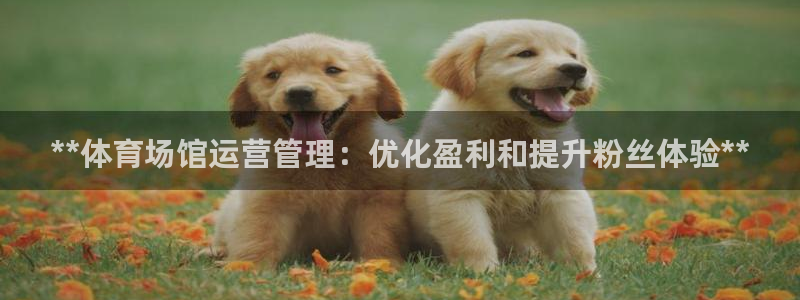 必一运动体育app：