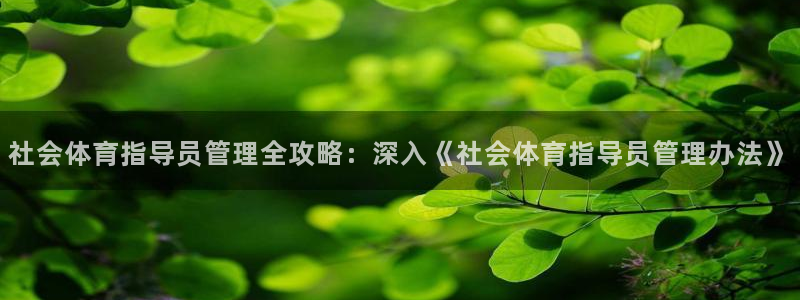 必一体育运动app：