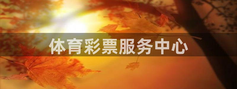 必一体育登录APP下