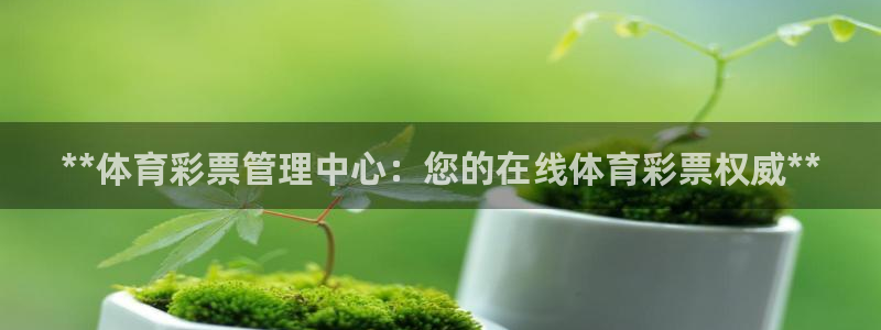 必一体育登录入口：*