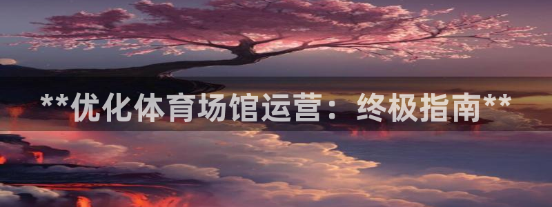 必一体育运动app：