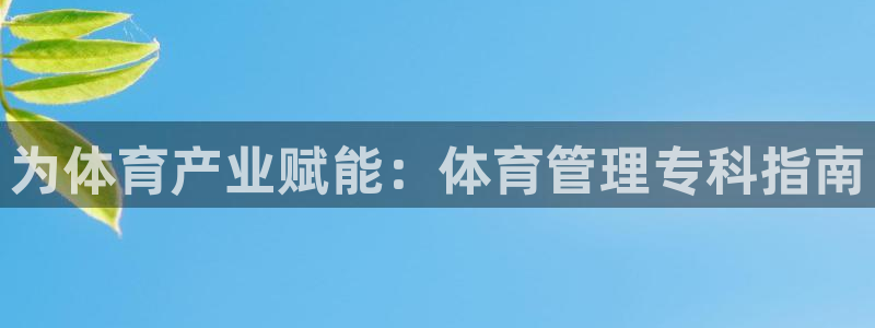 必一体育合法吗