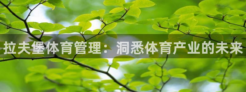 必一体育app下载最新版本