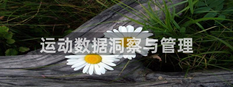 必一体育在哪下：运动