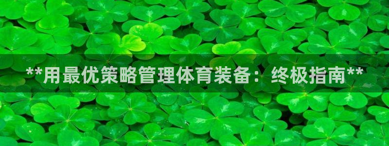 必一体育bsport