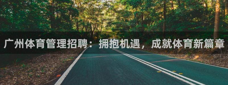 Bsport体育必一