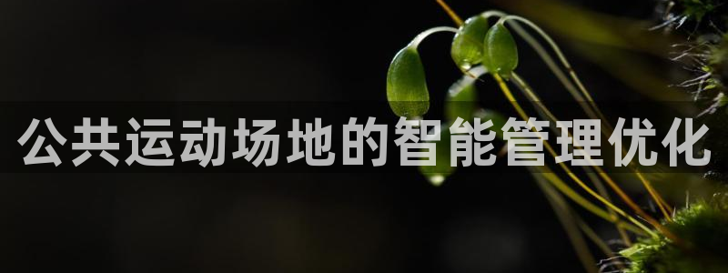 必一体育在线登录：公