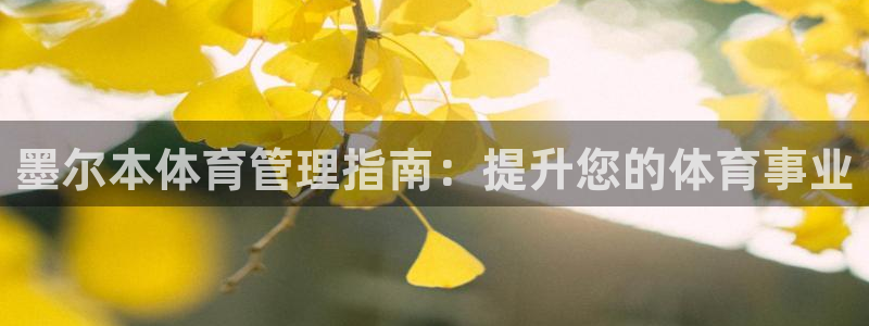 必一体育登陆