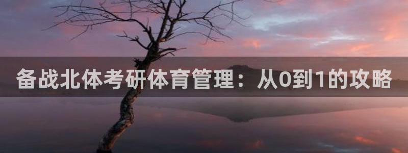 必一体育官网入口