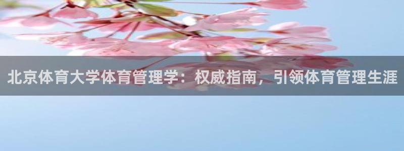 必一体育在线官网