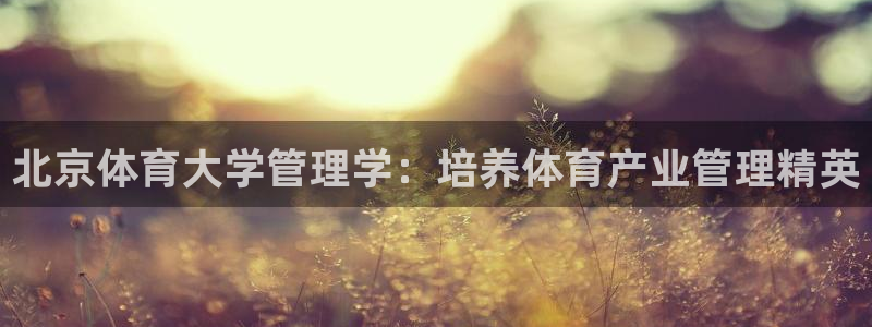必一体育最新官网入口首页