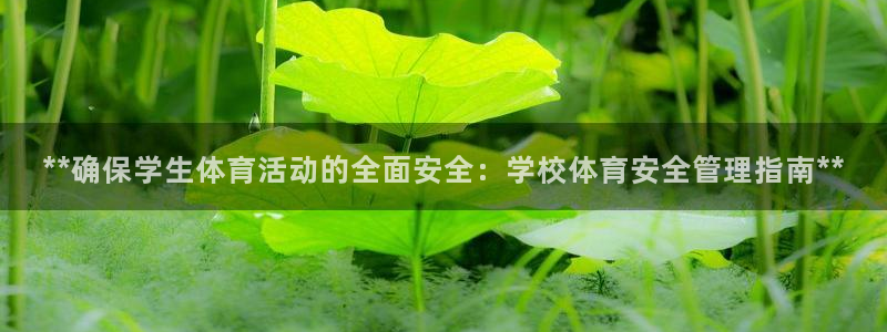 必一体育在线下载：*