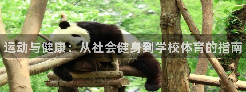 必一运动短信