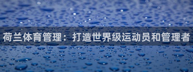 必一体育sport