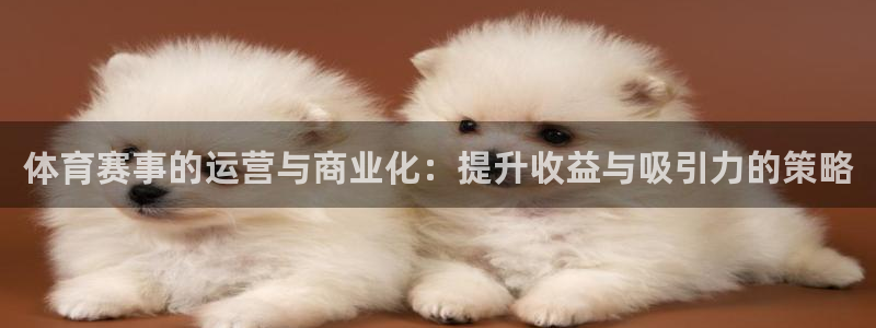 必一体育运动官网：体