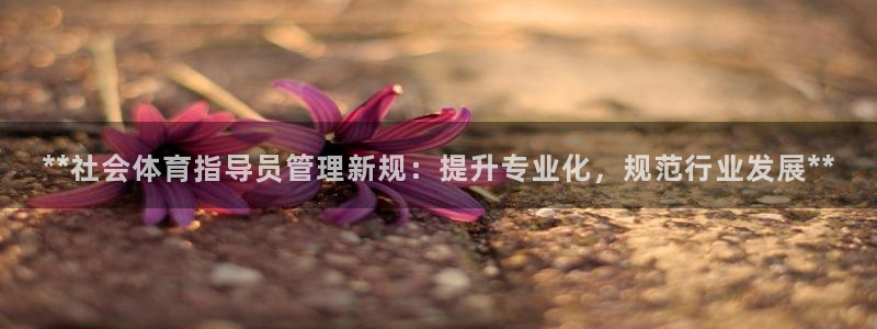 必一体育下载app下