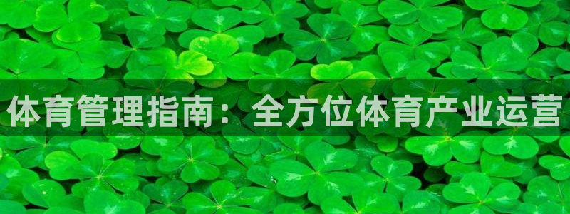 必一体育官网app：
