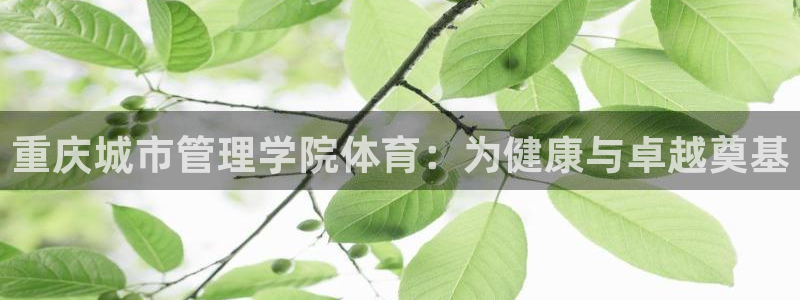 必一体育黑平台：重庆