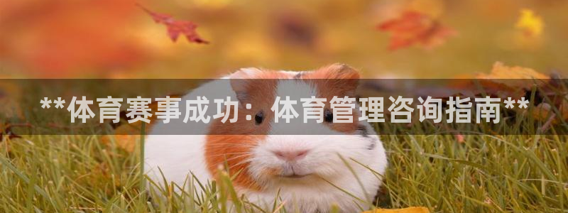 必一体育官方app下载