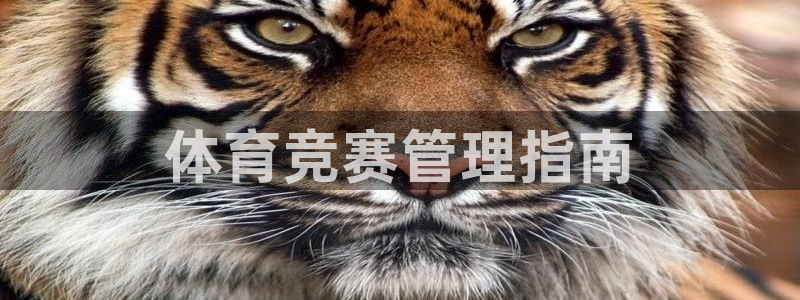 必一体育网页版登录：