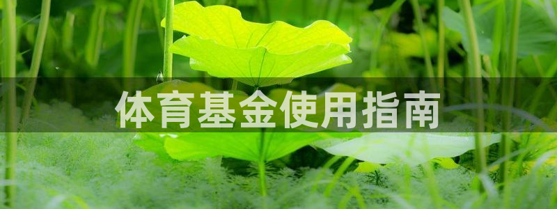 必一运动：体育基金使