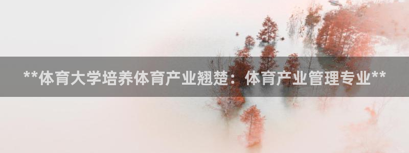 必一运动官网登录入口