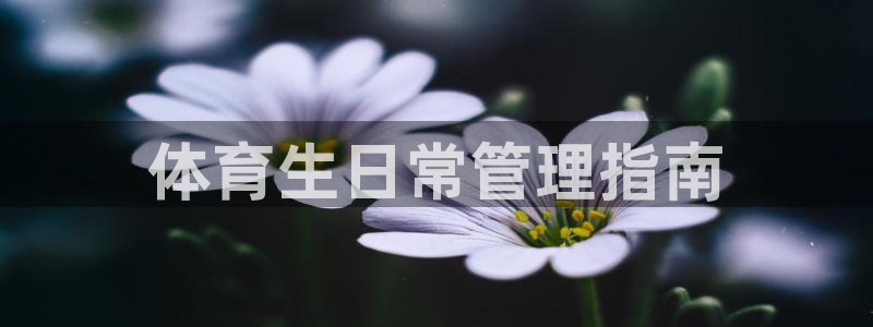 必一体育app官方