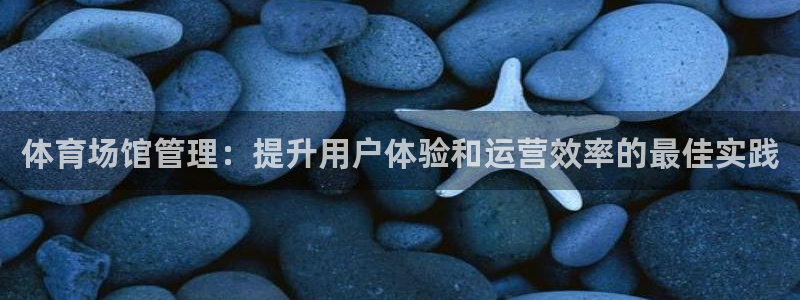 必一体育官网网站：体