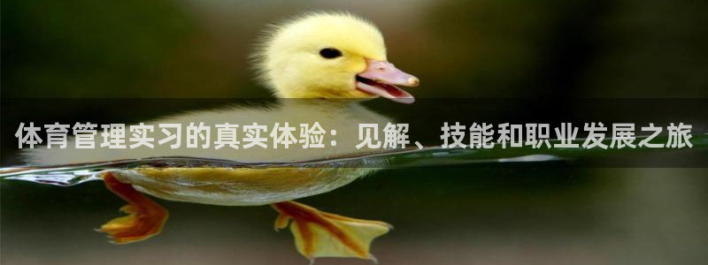 必一体育下载意思