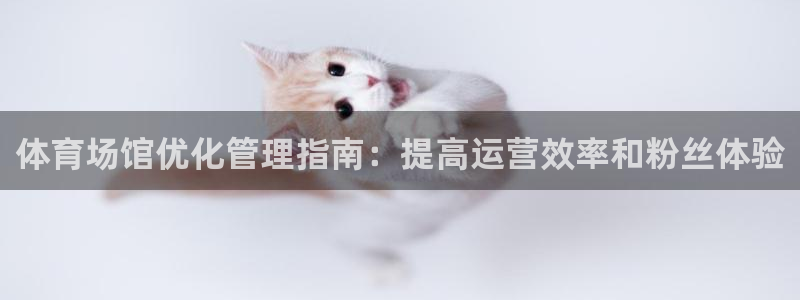 必一体育下载一样吗：