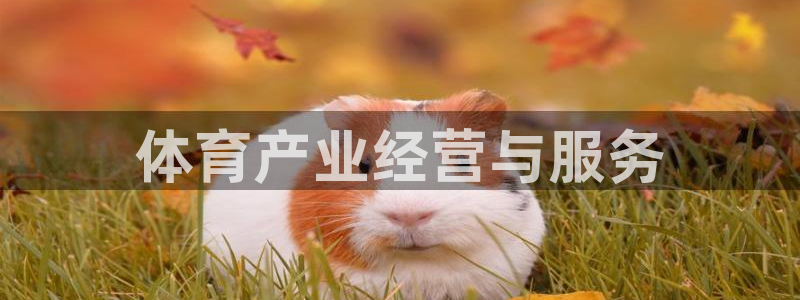 必一体育app官方网站