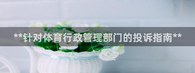 Bsport体育app必一