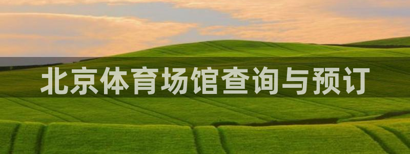 必一体育怎么下载