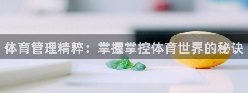 必一体育app官方正版下载
