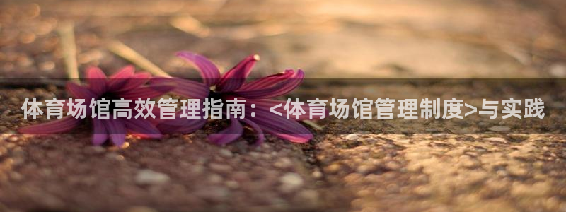 必一体育app官方：