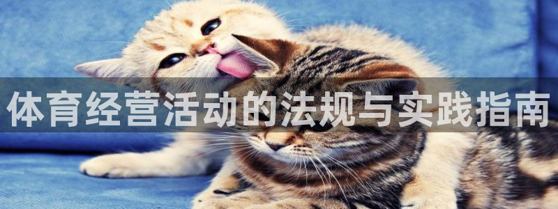必一体育服下载最新版