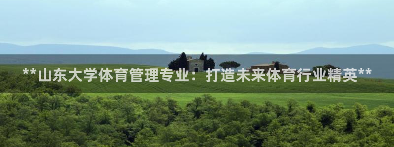 必一体育验证码：**