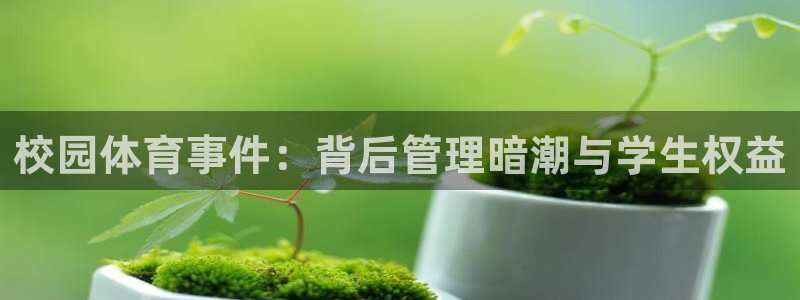 必一体育旧版